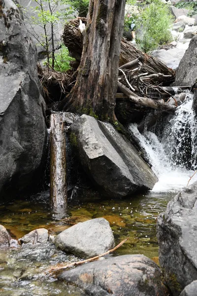 DSC_4604 (Large).JPG